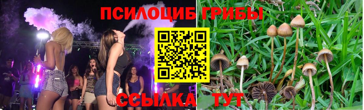 A PVP Нефтекумск